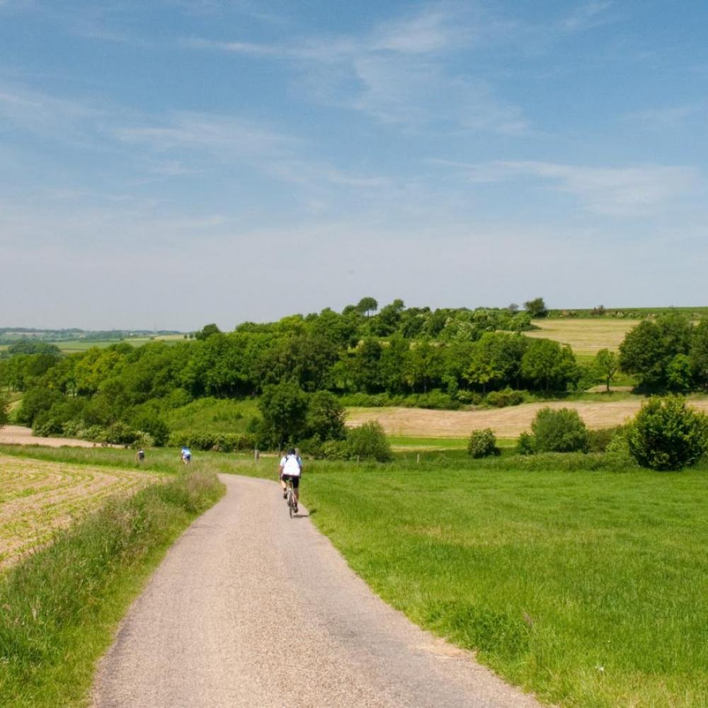 De beste fietsroutes in Zuid-Limburg